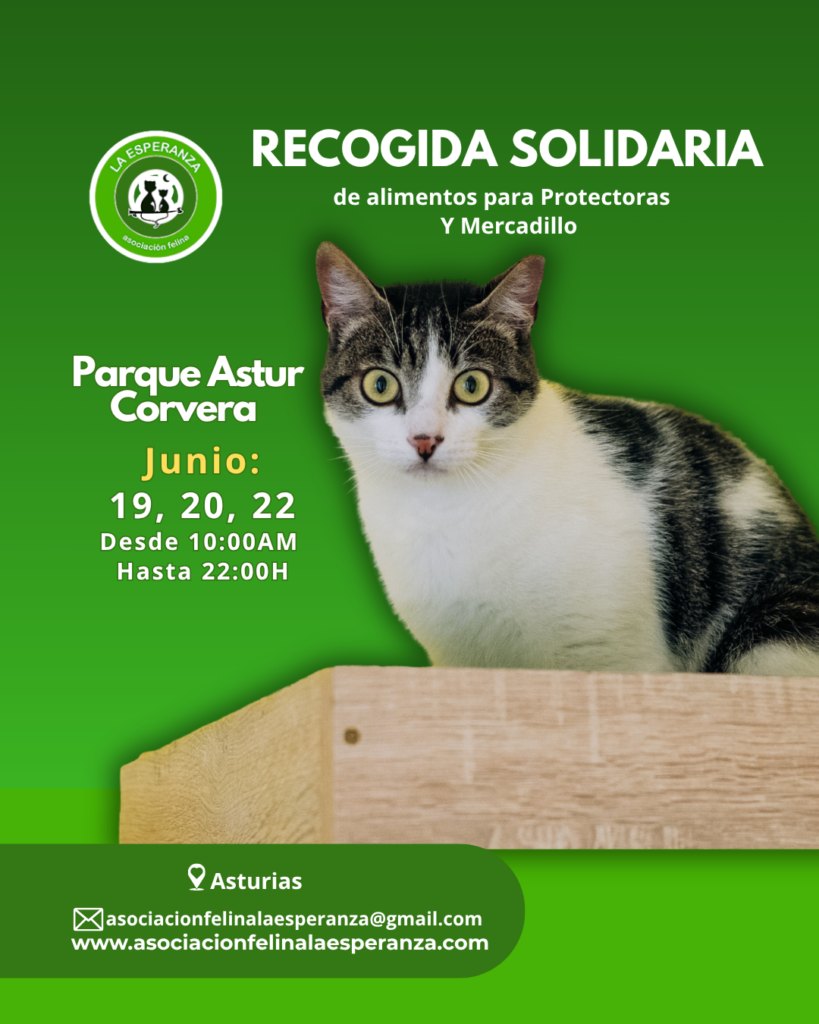 RECOGIDA SOLIDARIA DE ALIMENTOS PARA GASTOS CORVERA