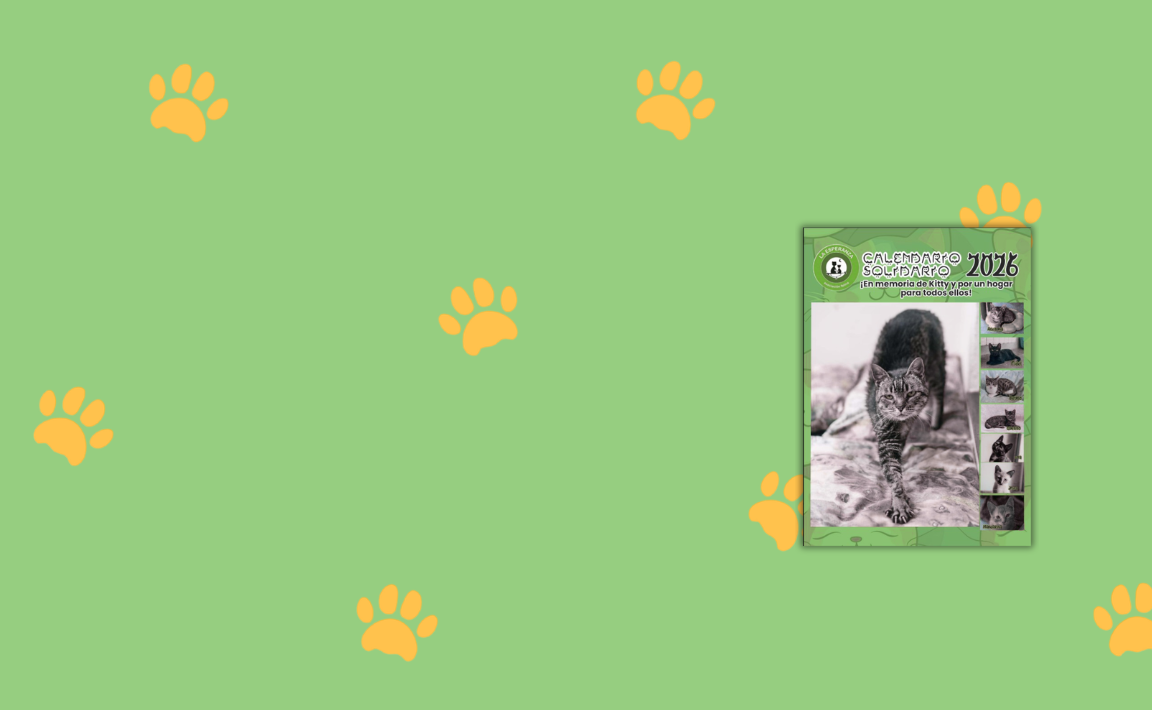 Slide background