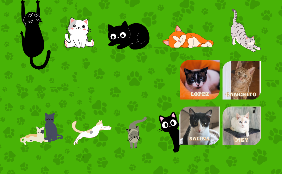 Slide background